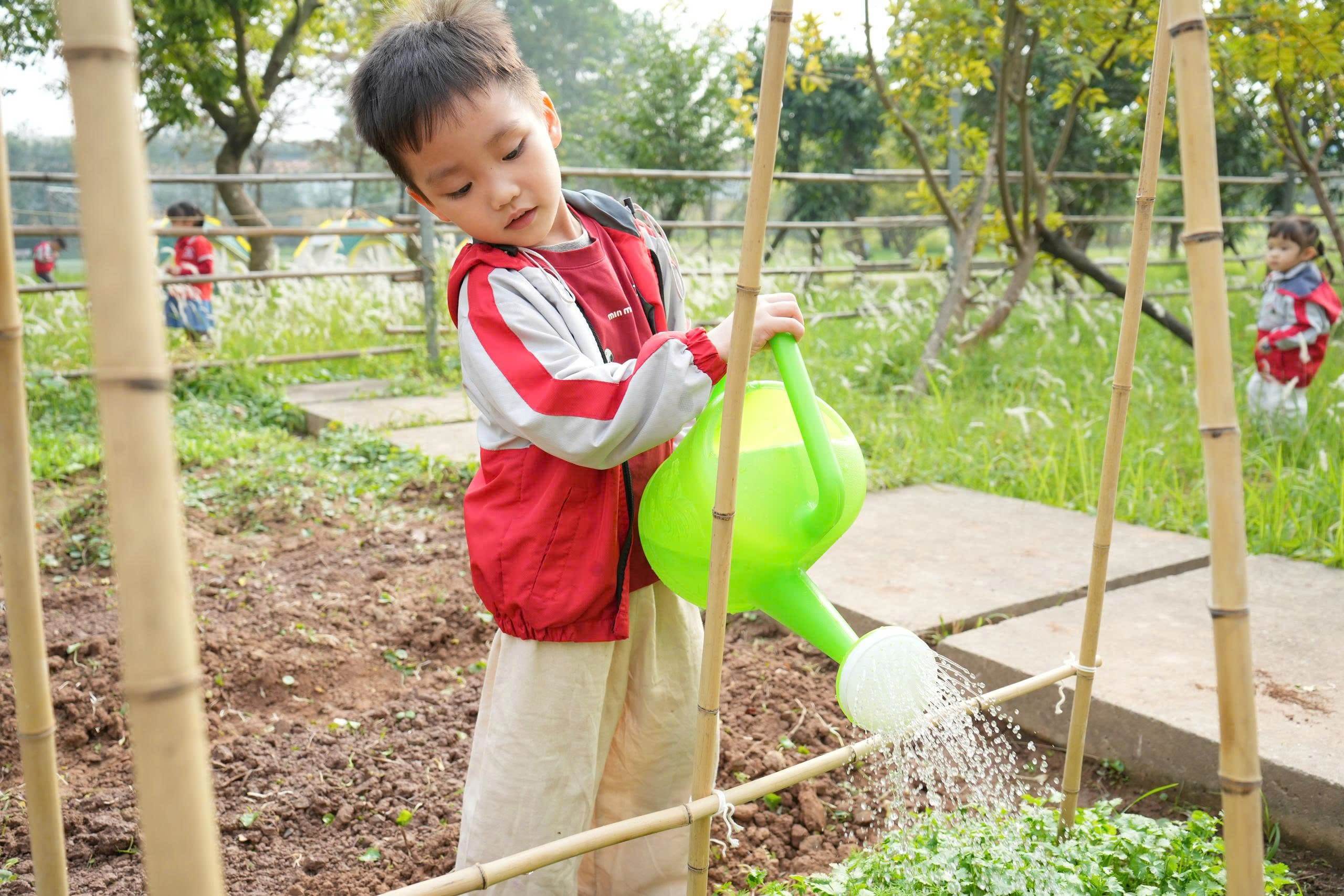 Cùng bé chạm vào thiên nhiên: Buổi trải nghiệm làm vườn đầy thú vị tại BMS Hưng Yên