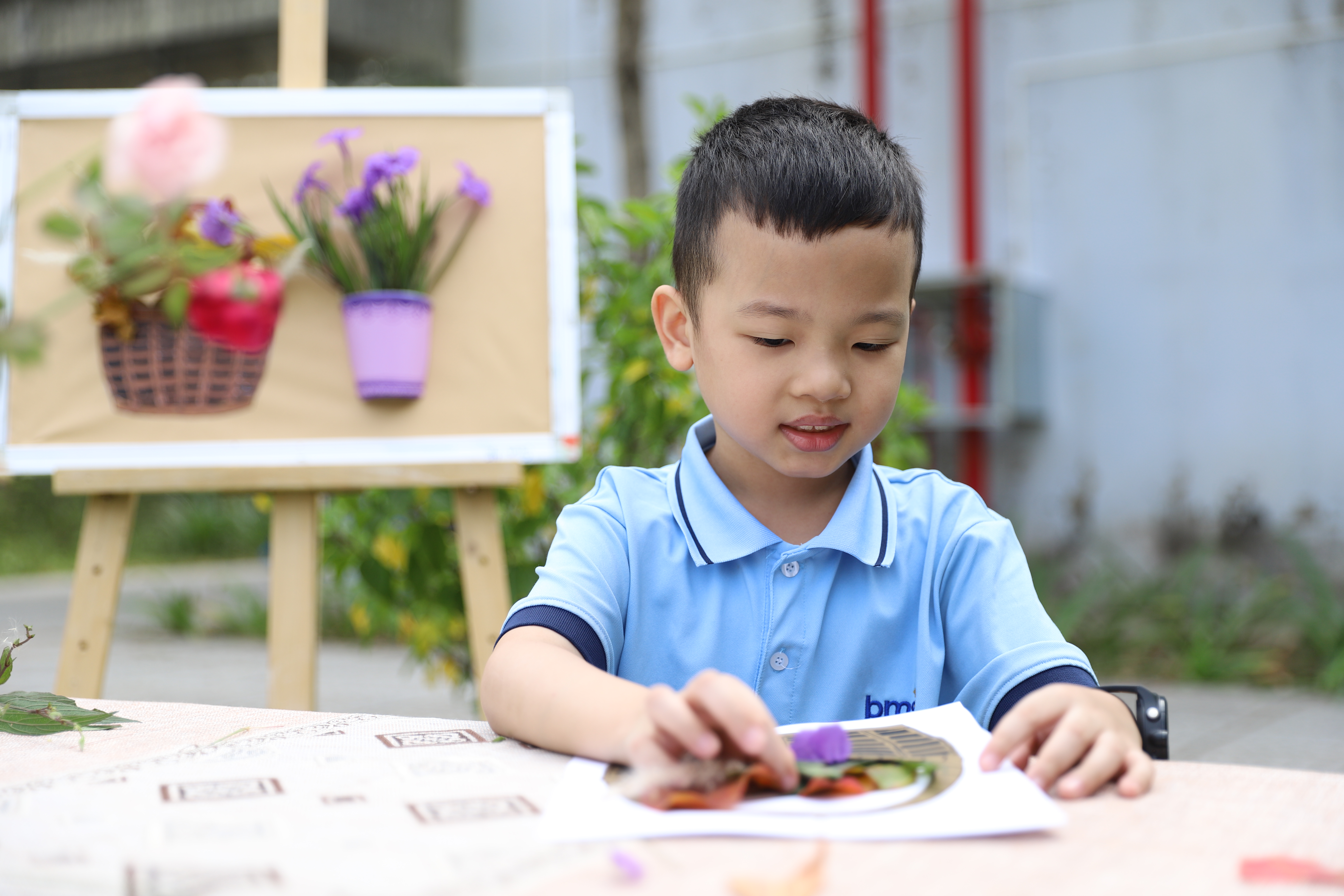 Chương trình Chất lượng cao khối Tiểu học và THCS