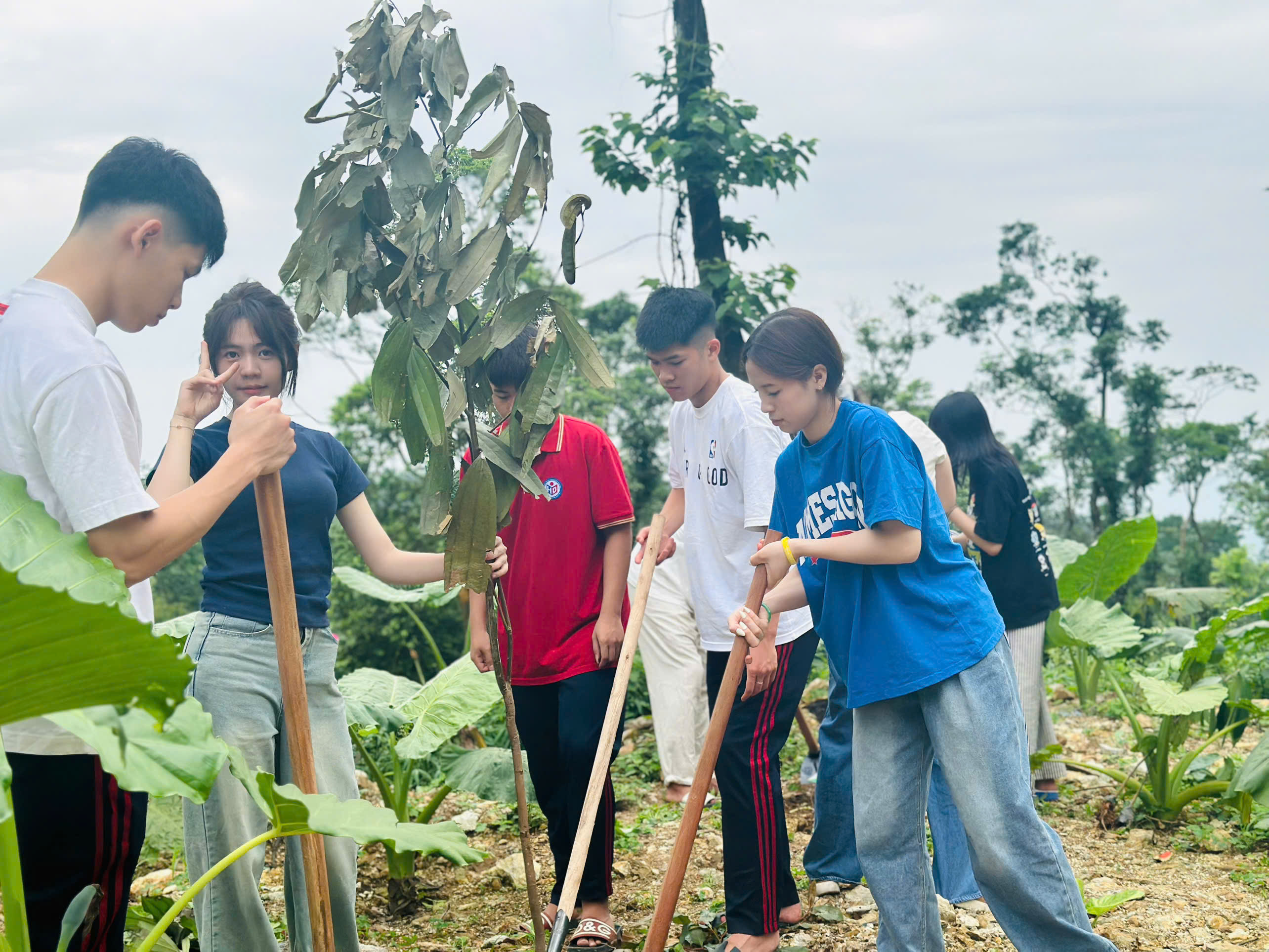 Gieo Mầm Xanh – Trải Nghiệm Xanh, Kỷ Niệm Xanh cùng Khối THPT CLC BMS Hưng Yên