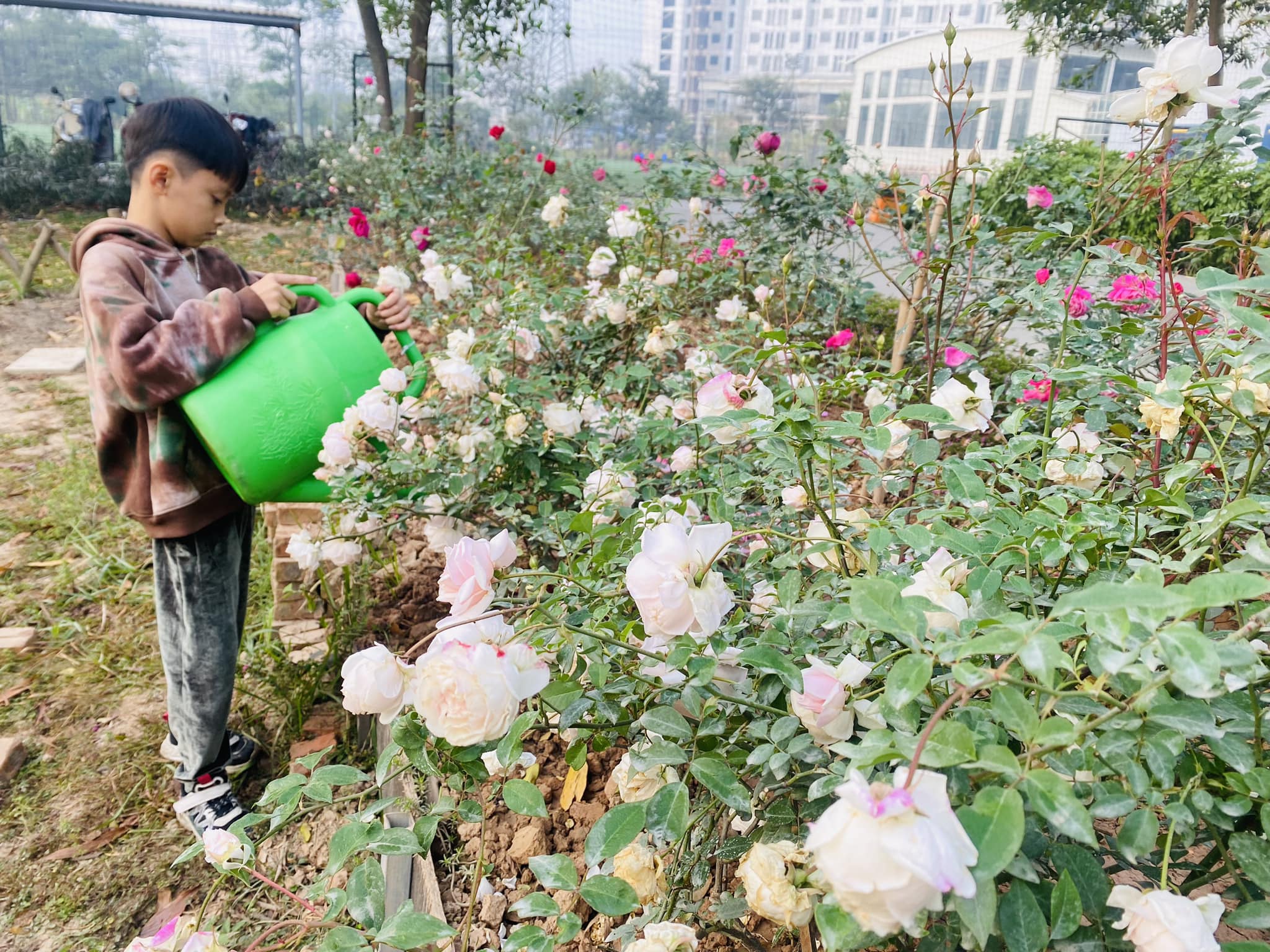 Trải Nghiệm Đêm Du Mục 2: Mùa Đông Ấm Áp